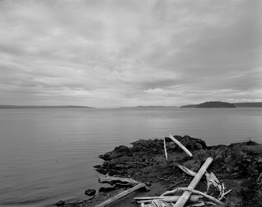 logs-and-water